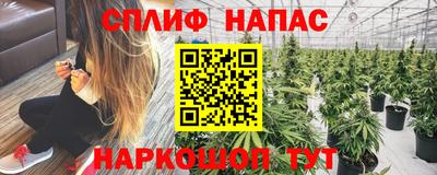 прущие грибы Апрелевка