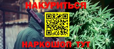 крисы Балаково