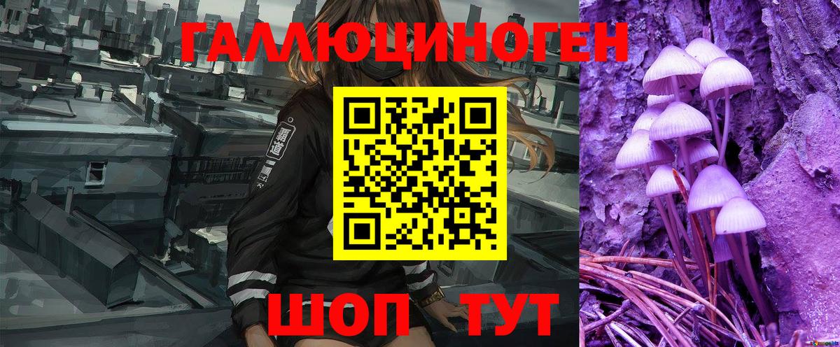 Галлюциногенные грибы ЛСД  Псилоцибиновые грибы Psilocybine cubensis  Раменское 