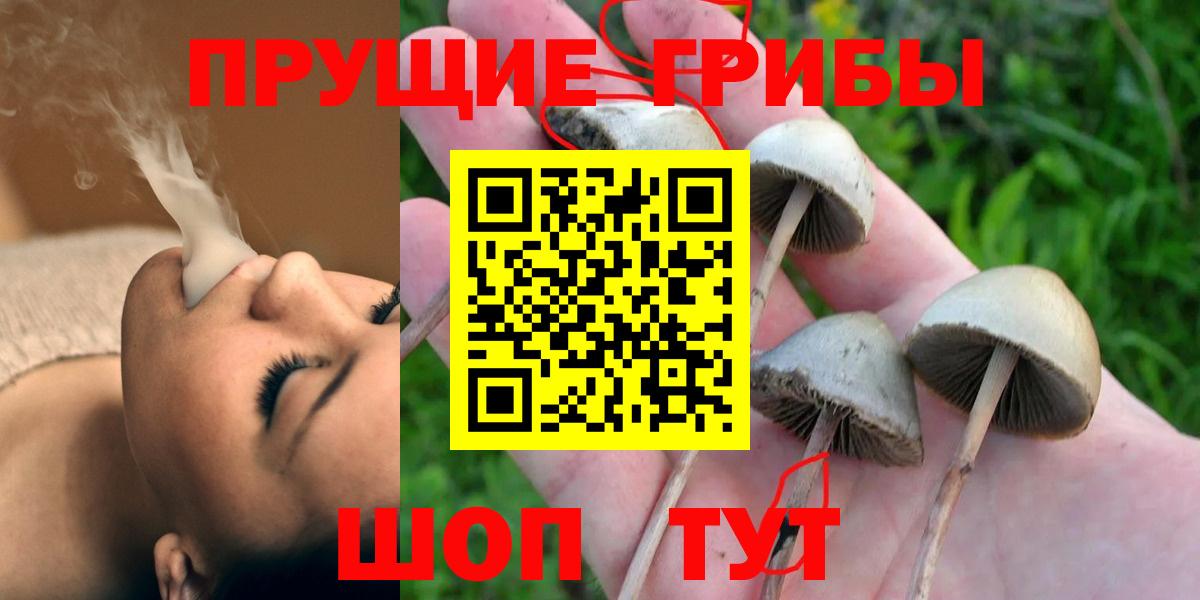 Псилоцибиновые грибы мицелий  Вход с VPN  Галлюциногенные грибы мицелий  Раменское 
